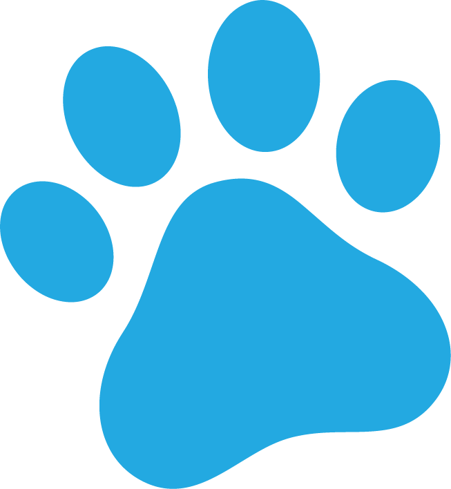 Pet Door Installation  with Glass Pet Doors.