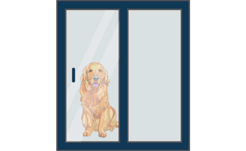 Pet Door Installation  with Glass Pet Doors.