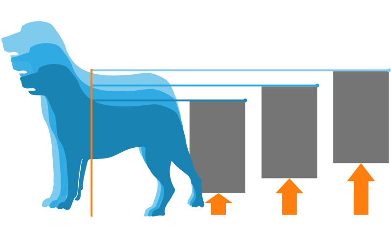 Measure your pup and get a door with dog door features installed today with Glass Pet Doors.