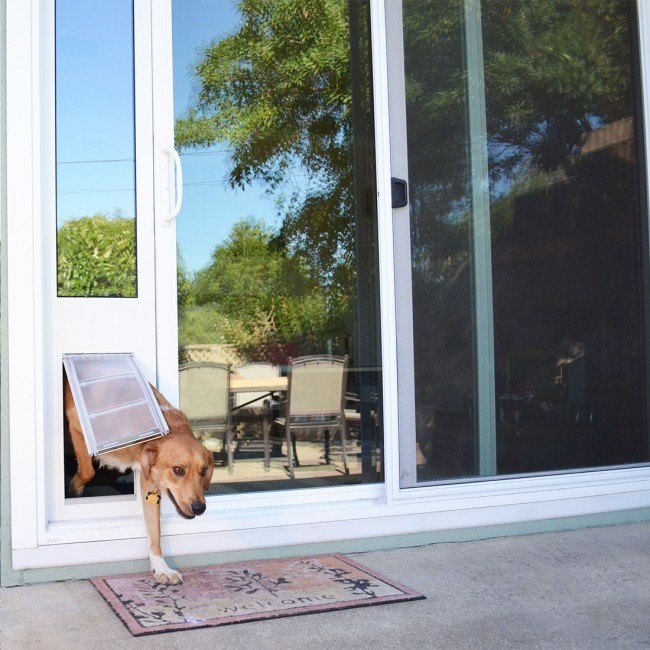 Review: Dog Door In Glass Installation - Glass Pet Doors